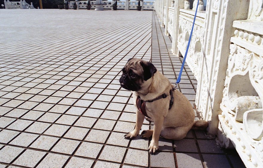 [FILM] TAIWAN US portraits makiko test Nikon FM(S) Kodak Gold 200 010