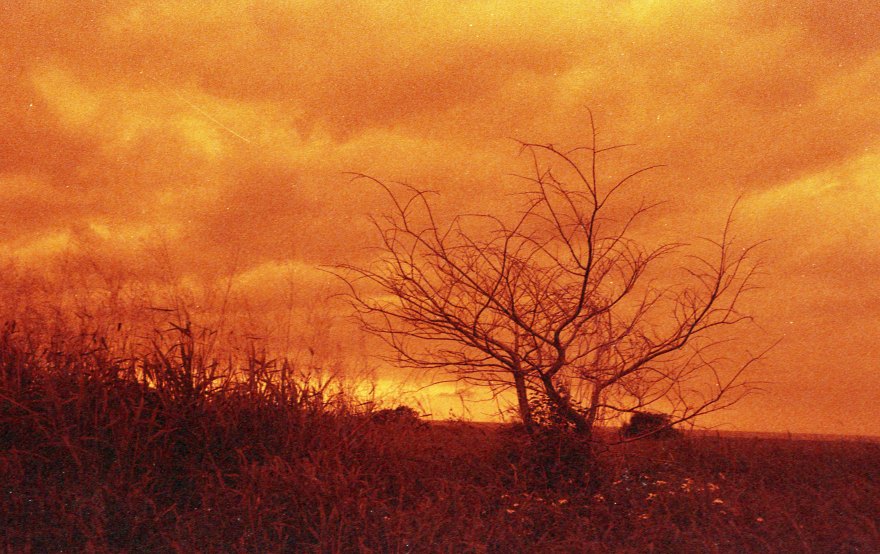 [FILM] TAIWAN - US tamsui street yongle DEC2016 Nikon FM(S) - Rollei Redscale 400 -005