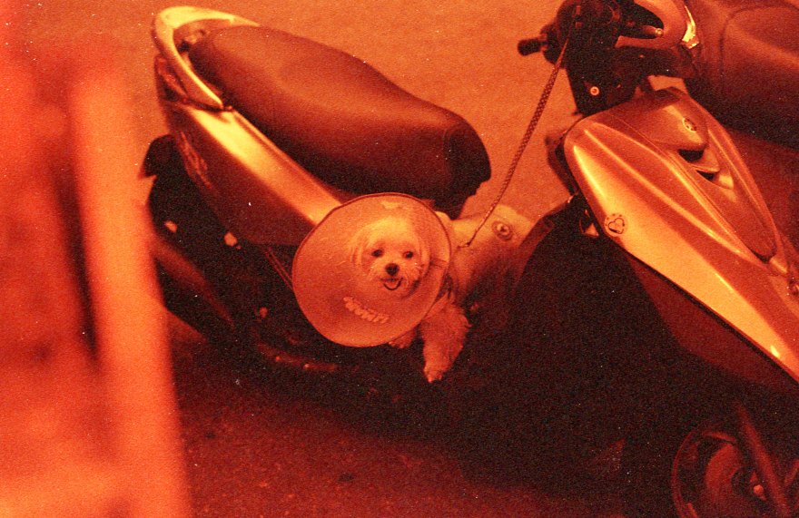 [FILM] TAIWAN - US tamsui street yongle DEC2016 Nikon FM(S) - Rollei Redscale 400 -009