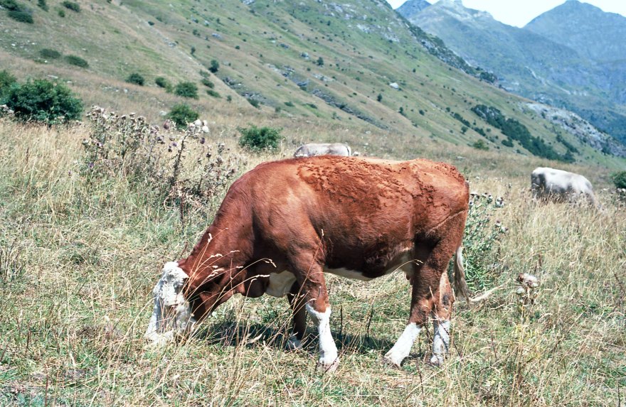 Film - Pyrenees hiking - JUL2017 - Nikon FM2 - Kodak Ektar 100 -020